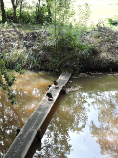 Dassenbruggetje verhoogt rendement van foerageertochten.