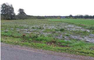 Het zonder ontheffing WNB afgeplagde deel (foto: Dorp en Natuur Amerongen/Leersum)