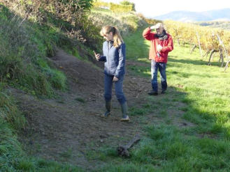 Ingang dassenhol Elzas