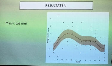Relatie verkeer / dassensterfte